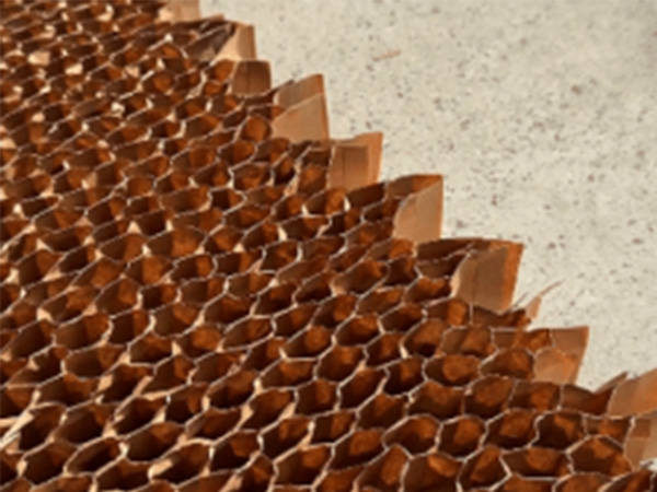3D honeycomb papp&iacute;rsmotta: Gr&aelig;nar umb&uacute;&eth;ir fyrir sj&aacute;lfb&aelig;ra framt&iacute;&eth;